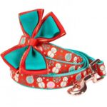 A red and blue dog collar with a bow on it