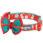 A red and blue dog collar with a bow tie.